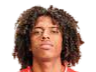 https://img.joyhos.com/img/football/player/135ad8787fd13961a93e165e79e736ff.png