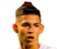 https://img.joyhos.com/img/football/player/256dcd3c814bd8fea3fab644d67a539f.png