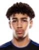 https://img.joyhos.com/img/football/player/fb7fd3390bdc25307ce54843fe6472dd.png